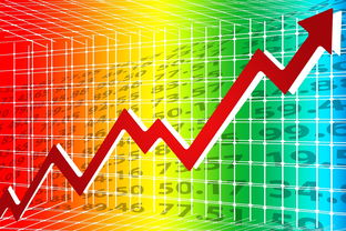 冬瓜子一个月涨幅超113%，市场现象深度解析