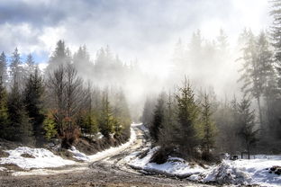 河南永城遭遇严重水灾，多处被淹，积水深达两米多